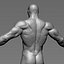 Male heroic character - Zbrush model