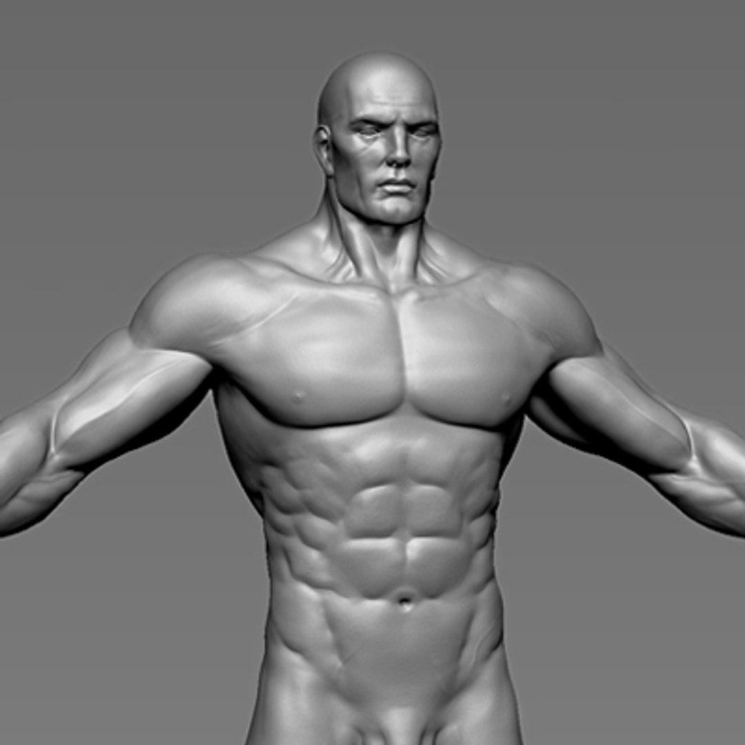 Male Heroic Character Hero 3d Model