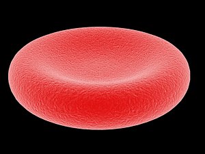 red blood cell 3d max