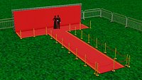 Red carpet