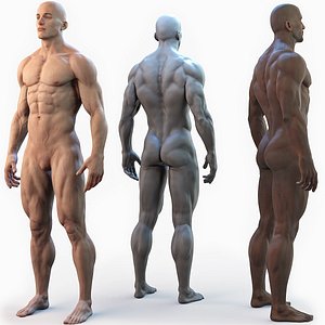 Male Basemesh -  Clean topology Base Mesh  with detailed skin  render