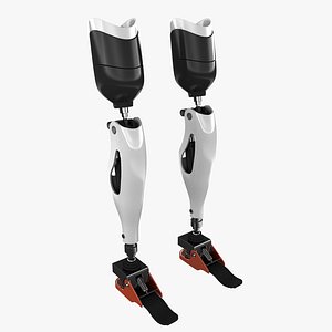 mechanical prosthetic 3D