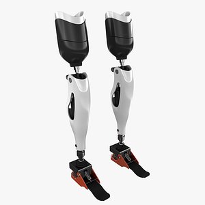 Prosthetic Leg