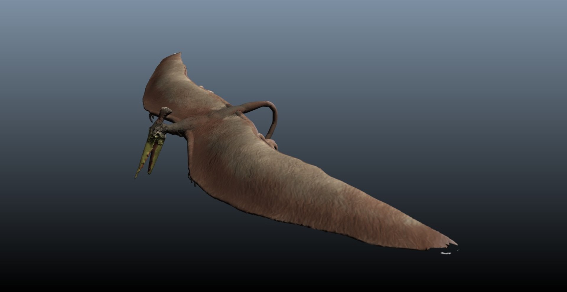 pterosaur 3d model https://p.turbosquid.com/ts-thumb/Cj/507q3e/6Z5Ebbw9/r6/jpg/1375896207/1920x1080/fit_q87/e0ba68f97f5c190a5516eb6ce0462e805d153b98/r6.jpg