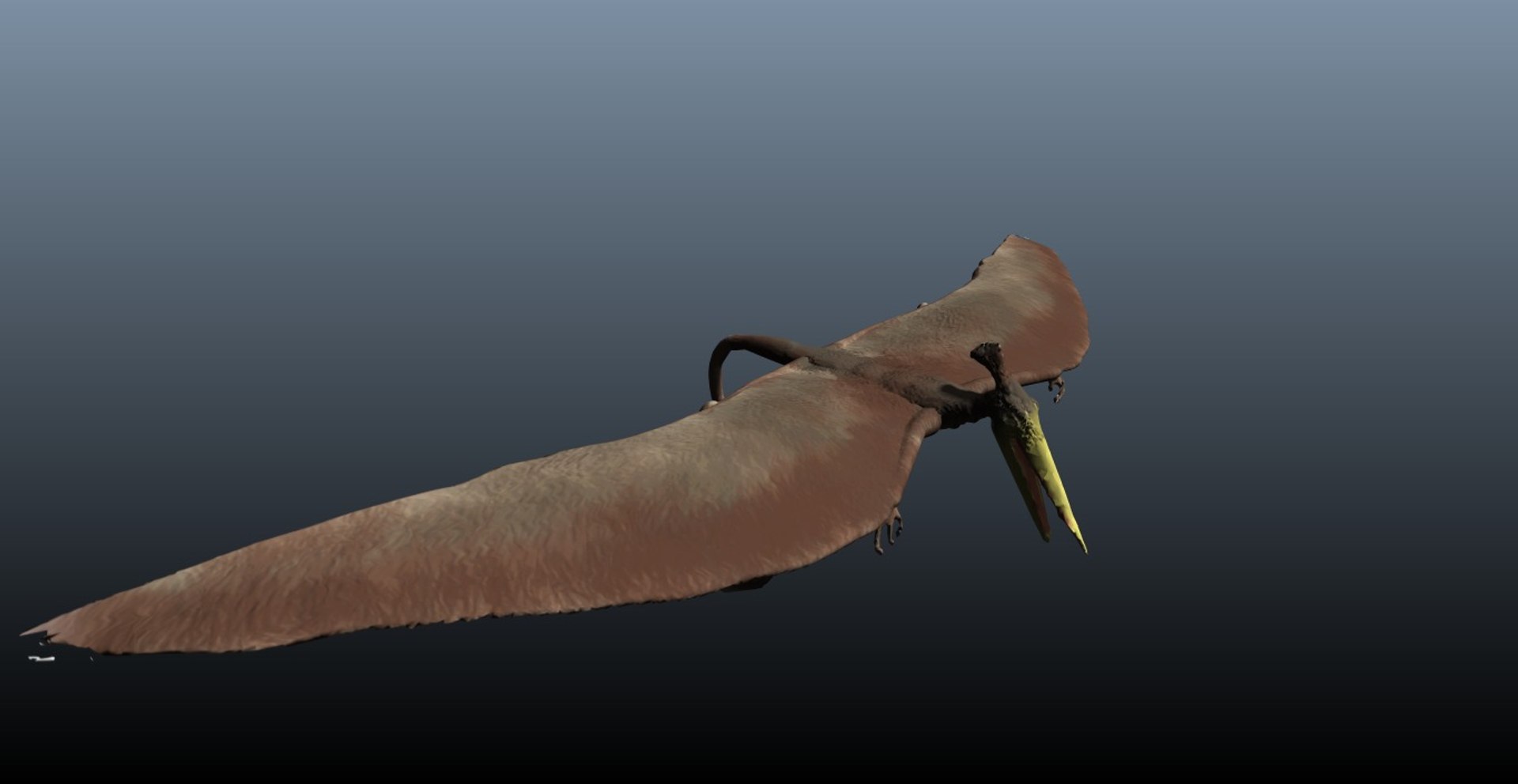 pterosaur 3d model https://p.turbosquid.com/ts-thumb/Cj/507q3e/84oOu4OX/r5/jpg/1375896207/1920x1080/fit_q87/a73e869cc9909b03d61f14673c288618db876119/r5.jpg