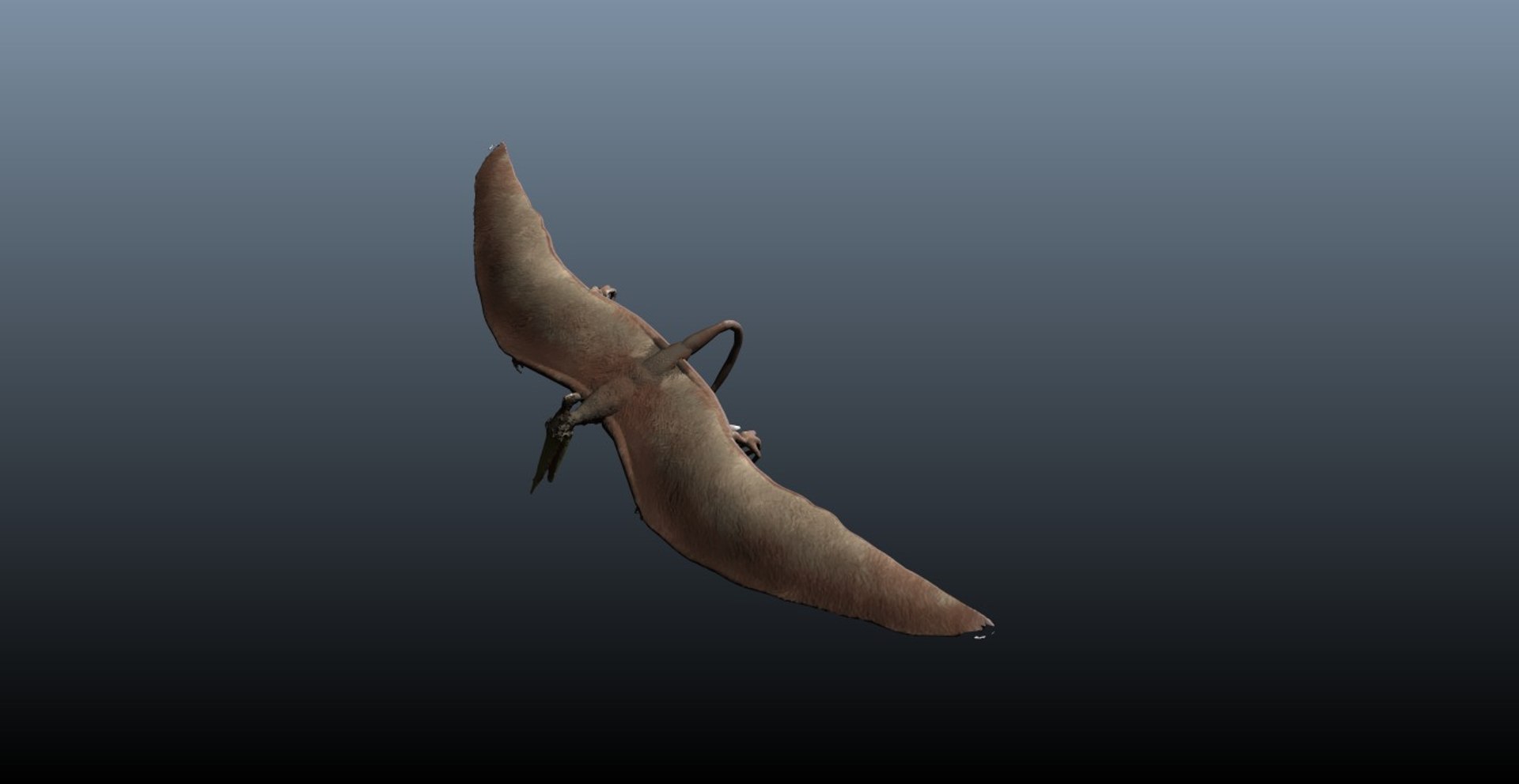 pterosaur 3d model https://p.turbosquid.com/ts-thumb/Cj/507q3e/9BUWbqvU/r4/jpg/1375896207/1920x1080/fit_q87/d844a7e7fb91e625f70e8f2d0341945a4879f8ef/r4.jpg