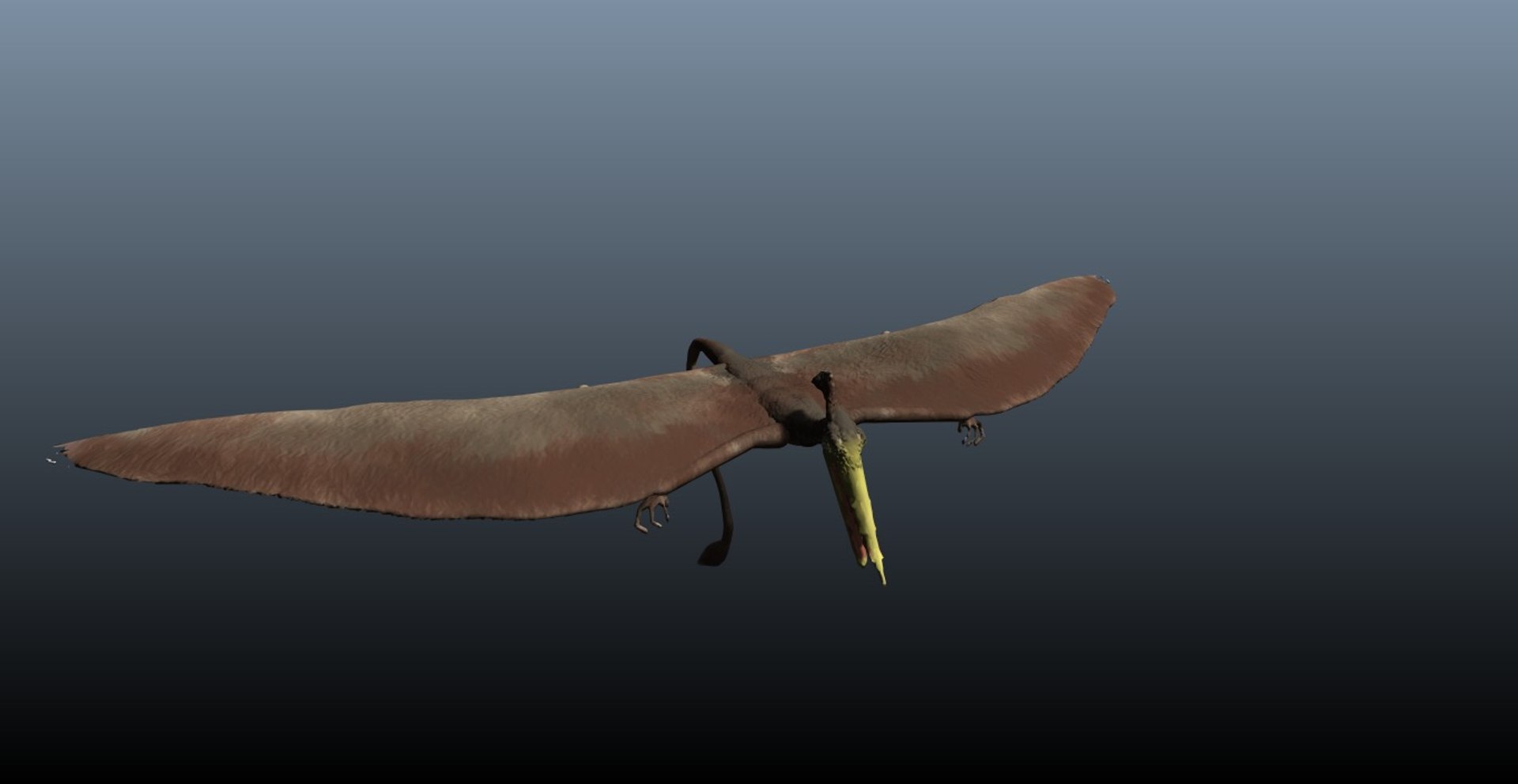 pterosaur 3d model https://p.turbosquid.com/ts-thumb/Cj/507q3e/XYtRFVnP/r3/jpg/1375896207/1920x1080/fit_q87/0d59839d18233ef3ef3a3407f7db41e311dc5cda/r3.jpg