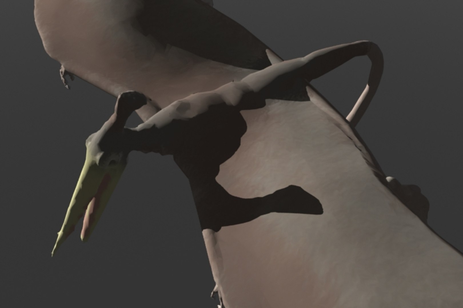 pterosaur 3d model https://p.turbosquid.com/ts-thumb/Cj/507q3e/nXlpxNMs/r12/jpg/1375896208/1920x1080/fit_q87/169850484e4bdd8c0aa79951874343310fd82737/r12.jpg