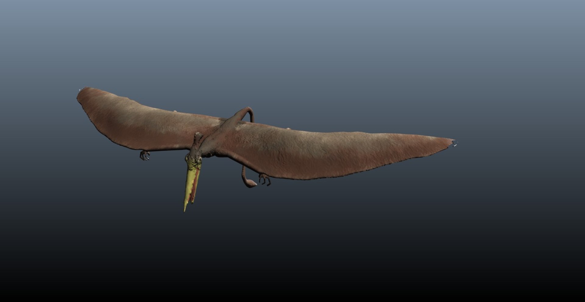 pterosaur 3d model https://p.turbosquid.com/ts-thumb/Cj/507q3e/nchCSPyg/r1/jpg/1375896207/1920x1080/fit_q87/59014c7390ba864bb7e7f1af3d179f5301ae0fed/r1.jpg