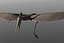 pterosaur