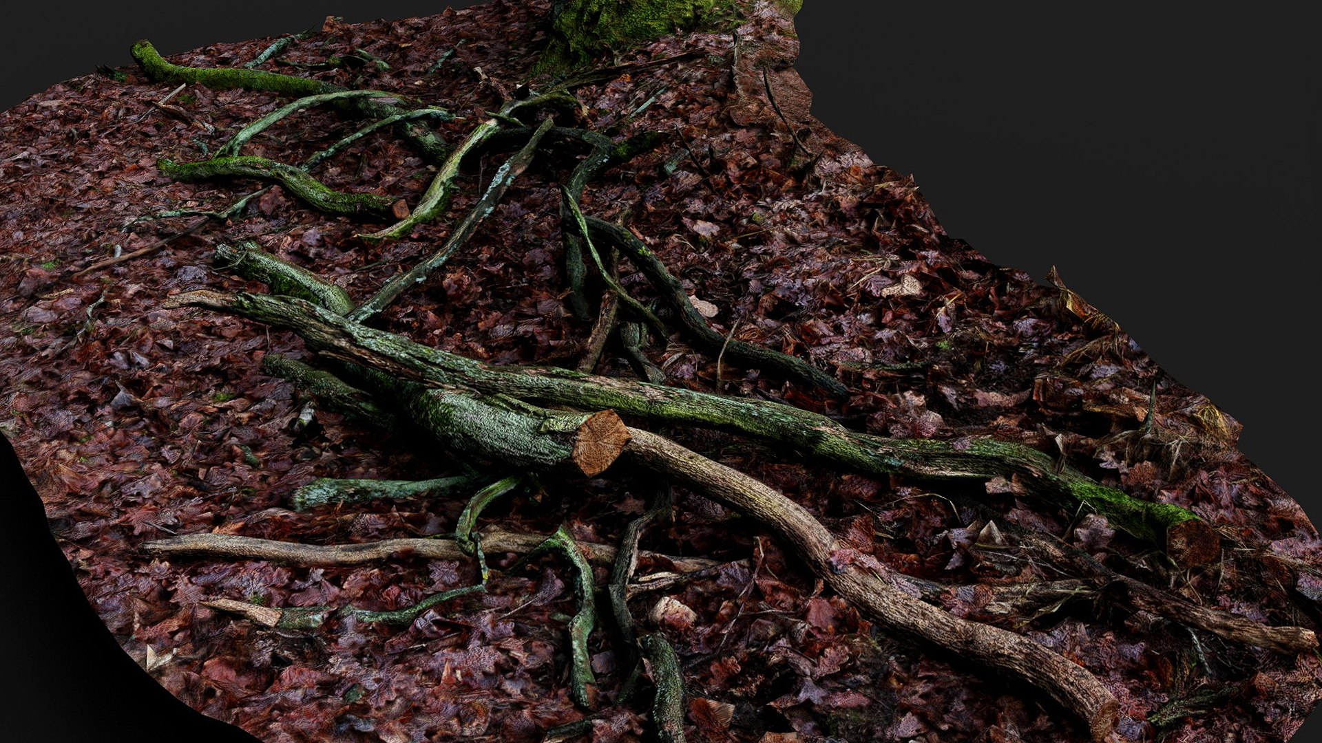 3D Forest Ground Broken Tree Branches Pt2 PBR Photogrammetry ...