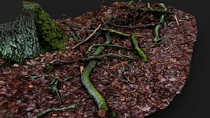 3D forest ground broken tree branches pt2 PBR photogrammetry