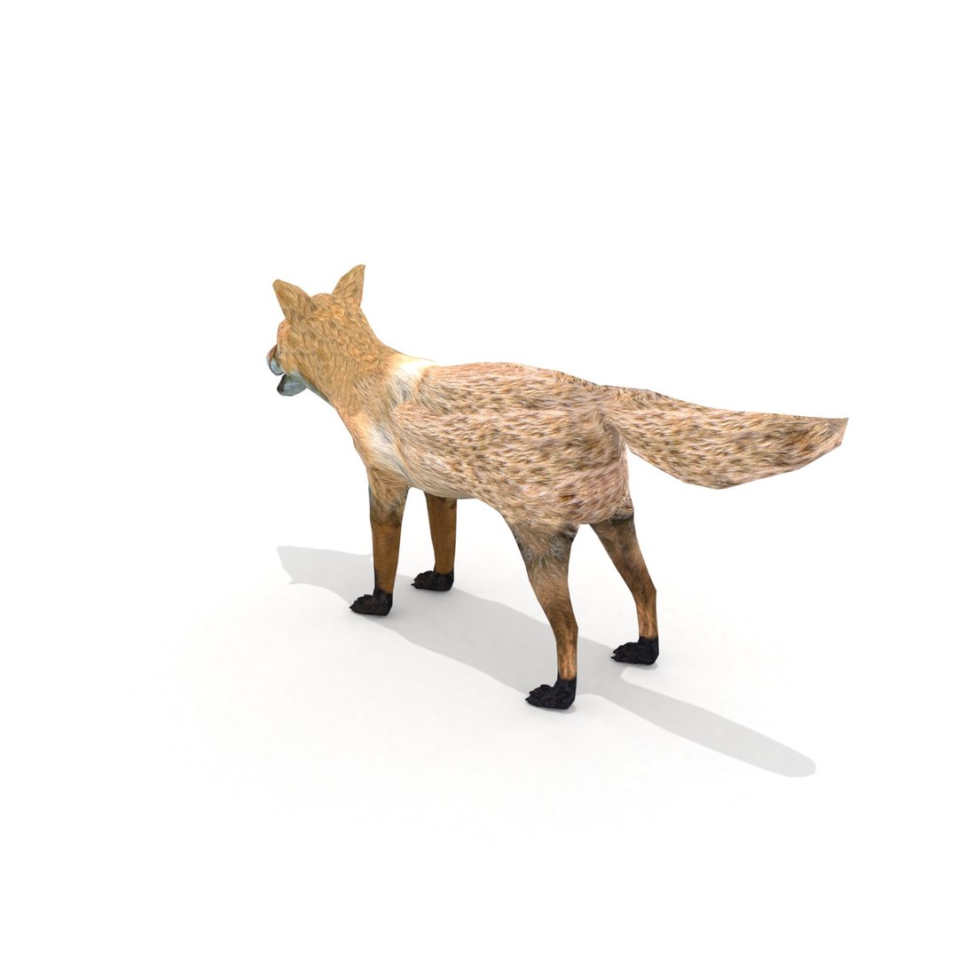 3D red fox model https://p.turbosquid.com/ts-thumb/Cj/7DJlxa/xymhITfL/redfox0007/jpg/1587235760/1920x1080/fit_q87/86e152fe6801032b3180c135294f82d70d09b636/redfox0007.jpg