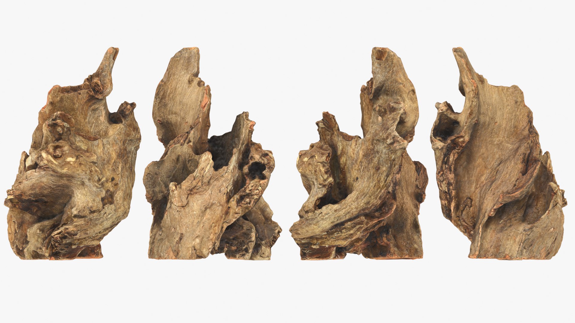 3D Tree Trunk Piece Collection model https://p.turbosquid.com/ts-thumb/Cj/BHfwtc/5M/treetrunkpc15_0001b/png/1767769118/1920x1080/fit_q87/e59f60e17562edae7ab90e66ae4cc980d8677796/treetrunkpc15_0001b.jpg