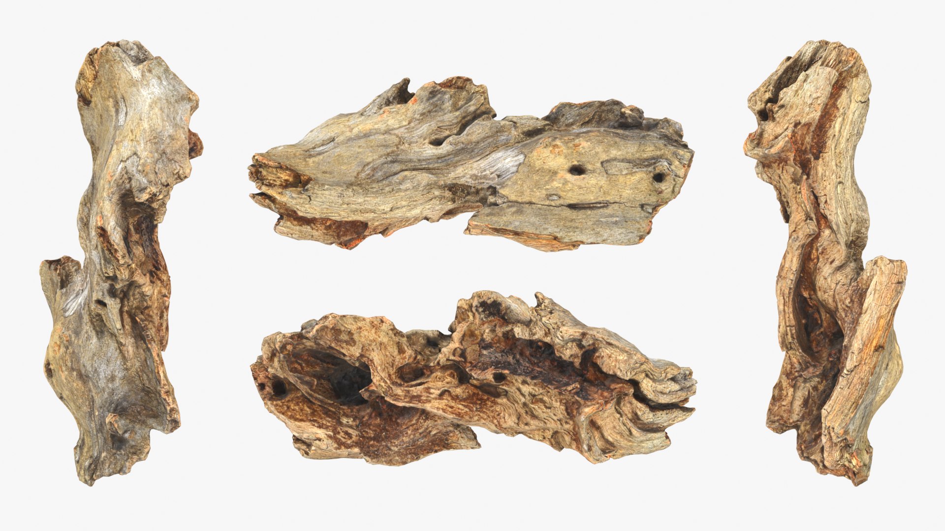 3D Tree Trunk Piece Collection model https://p.turbosquid.com/ts-thumb/Cj/BHfwtc/8t/treetrunkpc08_0001b/png/1767769100/1920x1080/fit_q87/acdc5440a975c195461a5fd41dd2007c321cd64a/treetrunkpc08_0001b.jpg