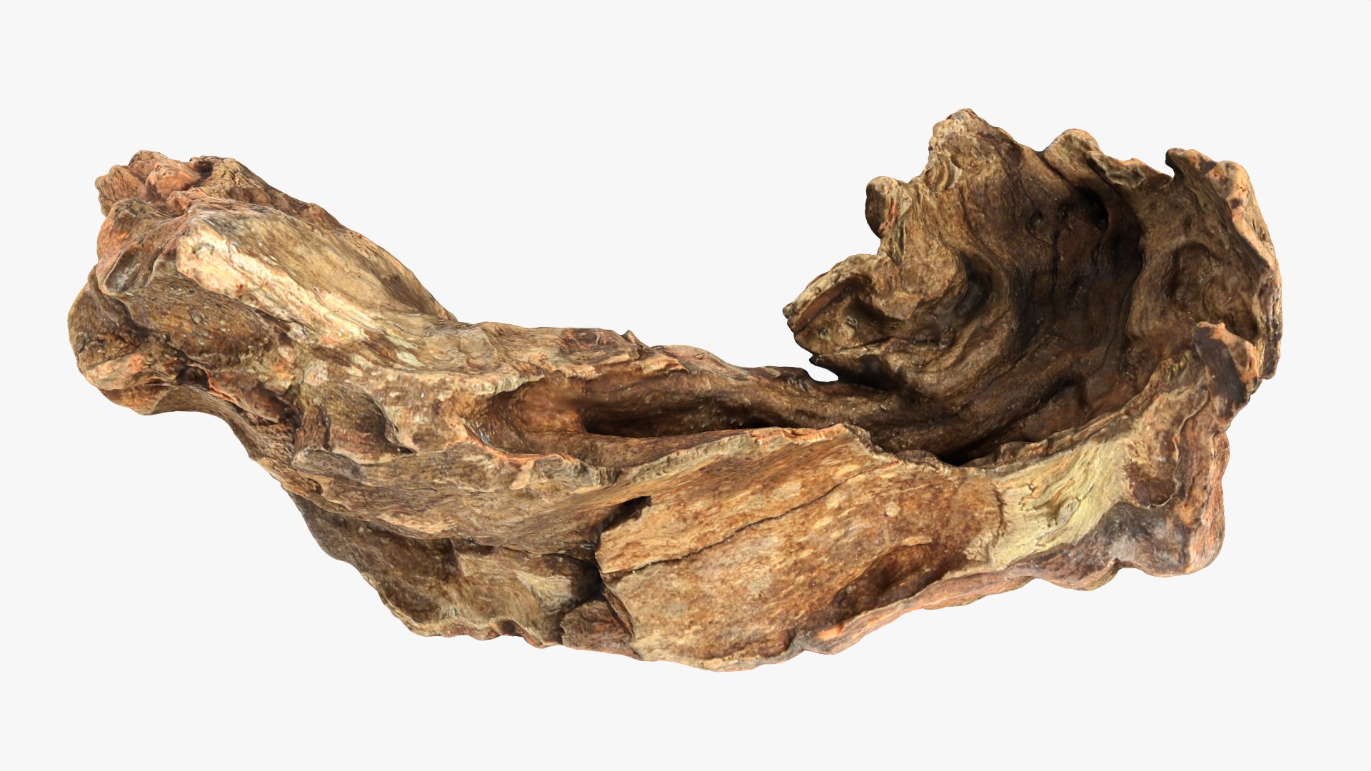 3D Tree Trunk Piece Collection model https://p.turbosquid.com/ts-thumb/Cj/BHfwtc/Gg/treetrunkpc12_0001/png/1767769113/1920x1080/fit_q87/5e72df7b4f9002e75d50d577bcb0ef0eec2a3888/treetrunkpc12_0001.jpg