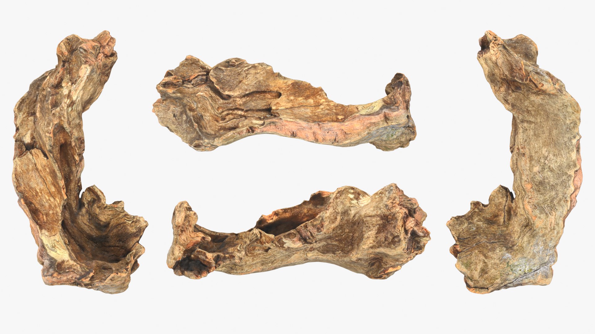 3D Tree Trunk Piece Collection model https://p.turbosquid.com/ts-thumb/Cj/BHfwtc/Qr/treetrunkpc12_0001b/png/1767769109/1920x1080/fit_q87/7a38aa0c7b465a809416df1f5465b0d64fe737c2/treetrunkpc12_0001b.jpg