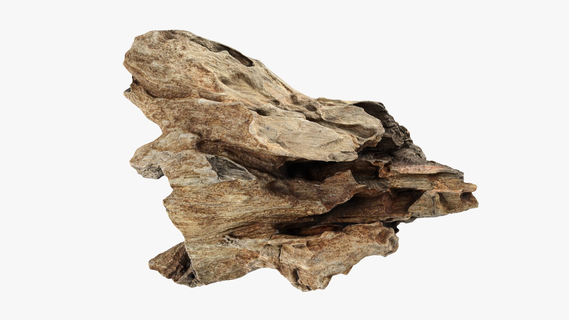 3D Tree Trunk Piece Collection model https://p.turbosquid.com/ts-thumb/Cj/BHfwtc/bM/treetrunkpc11_0001/png/1767769112/1920x1080/fit_q87/fba5328377b4c8b379f4a1e03bd4de45de46a1f4/treetrunkpc11_0001.jpg