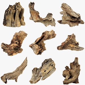 3D Tree Trunk Piece Collection model