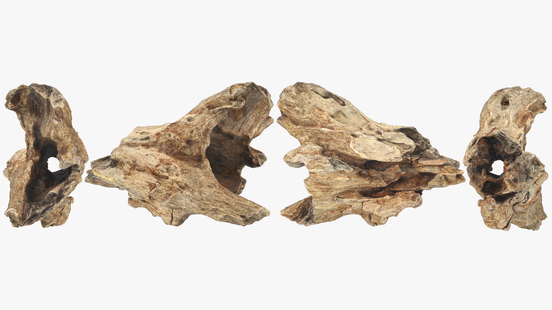 3D Tree Trunk Piece Collection model https://p.turbosquid.com/ts-thumb/Cj/BHfwtc/jP/treetrunkpc11_0001b/png/1767769103/1920x1080/fit_q87/addddd3594c540c92714cb1748f56f38352870bc/treetrunkpc11_0001b.jpg