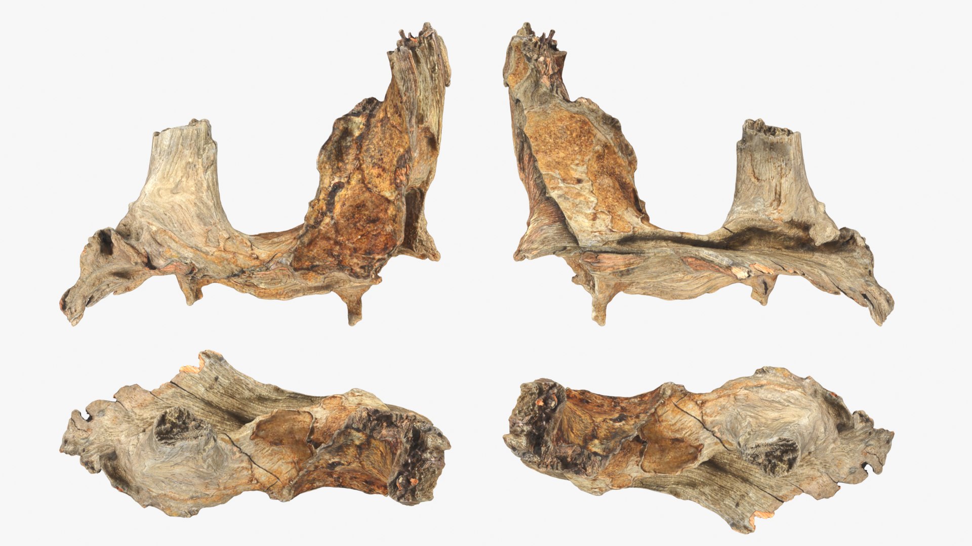3D Tree Trunk Piece Collection model https://p.turbosquid.com/ts-thumb/Cj/BHfwtc/jR/treetrunkpc05_0001b/png/1767769093/1920x1080/fit_q87/0c4067678b5fca0b700124d2e0c3c20979da7978/treetrunkpc05_0001b.jpg