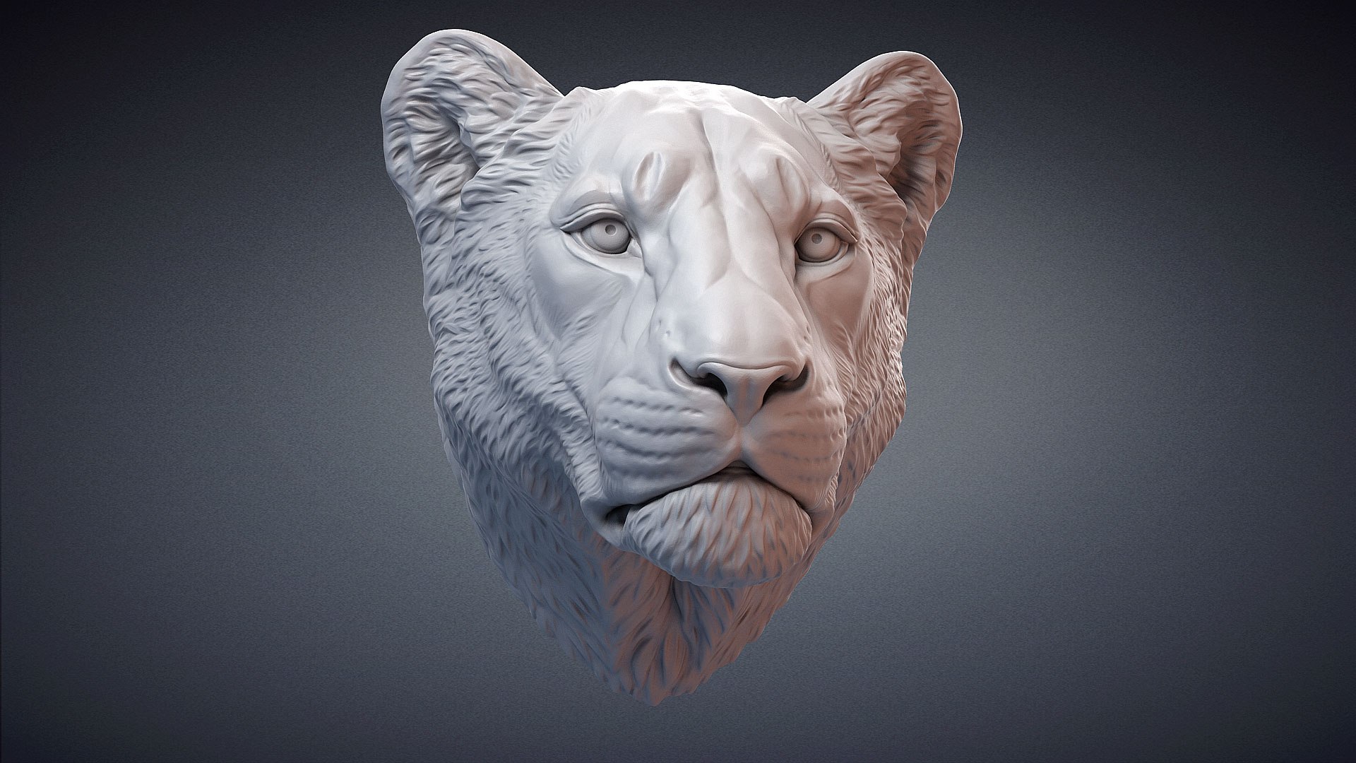 3D Lioness Sculpture Animal Head https://p.turbosquid.com/ts-thumb/Cj/DM75Xp/05/lionessheadsculpture3dprintablevoronart02/jpg/1619106819/1920x1080/fit_q87/75b04cf281295481aeb6b7c8c9a902067600a66a/lionessheadsculpture3dprintablevoronart02.jpg