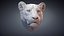 3D Lioness Sculpture Animal Head