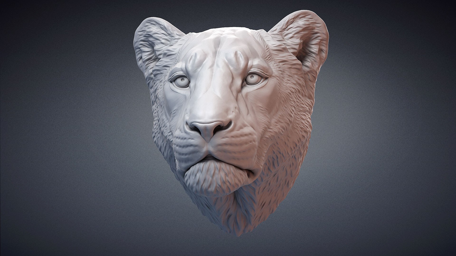 3D Lioness Sculpture Animal Head https://p.turbosquid.com/ts-thumb/Cj/DM75Xp/10/lionessheadsculpture3dprintablevoronart03/jpg/1619106827/1920x1080/fit_q87/d74386a0b1872fd5bc245ded238ac497a3cbab06/lionessheadsculpture3dprintablevoronart03.jpg
