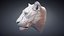 3D Lioness Sculpture Animal Head