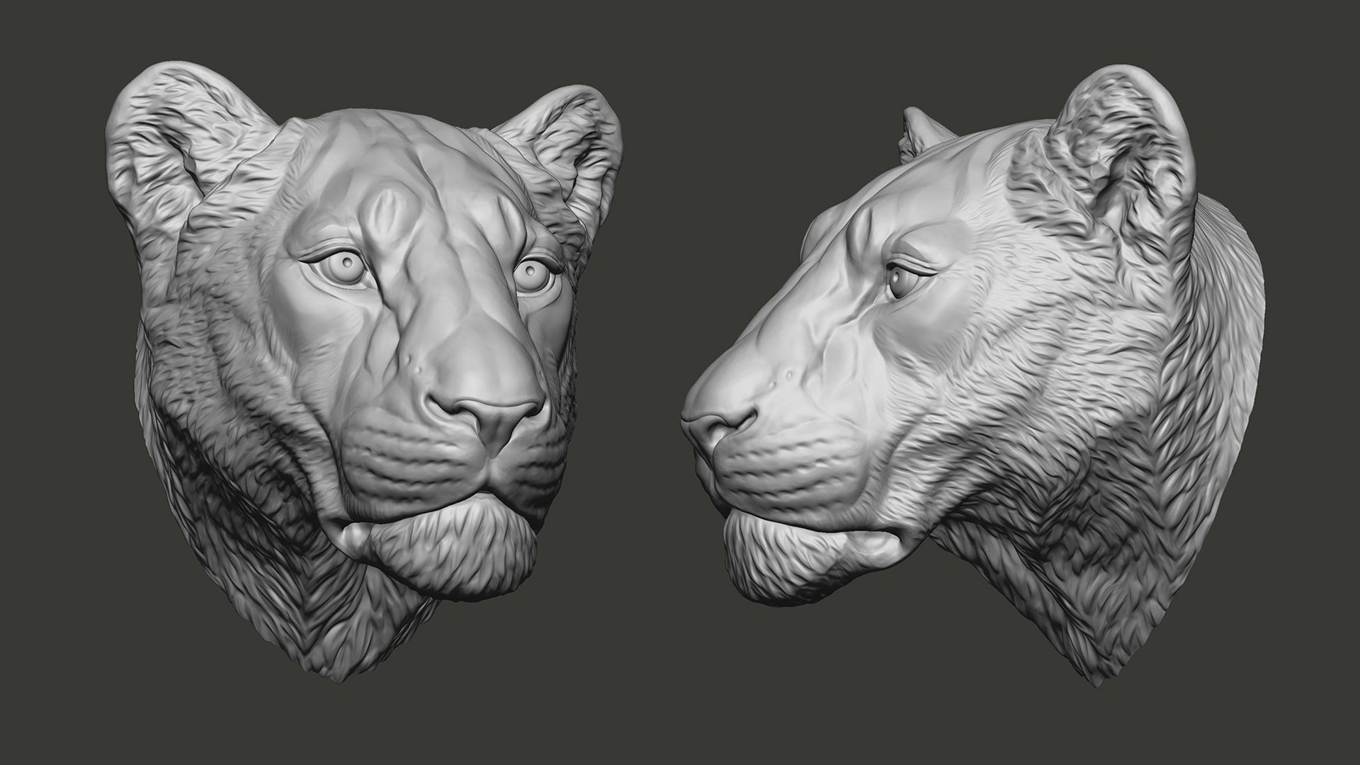3D Lioness Sculpture Animal Head https://p.turbosquid.com/ts-thumb/Cj/DM75Xp/4t/lionessheadsculpture3dprintablevoronartzbr01/jpg/1619106821/1920x1080/fit_q87/9c44a972e1765b887e10b34f75fe7b98ab24d62b/lionessheadsculpture3dprintablevoronartzbr01.jpg