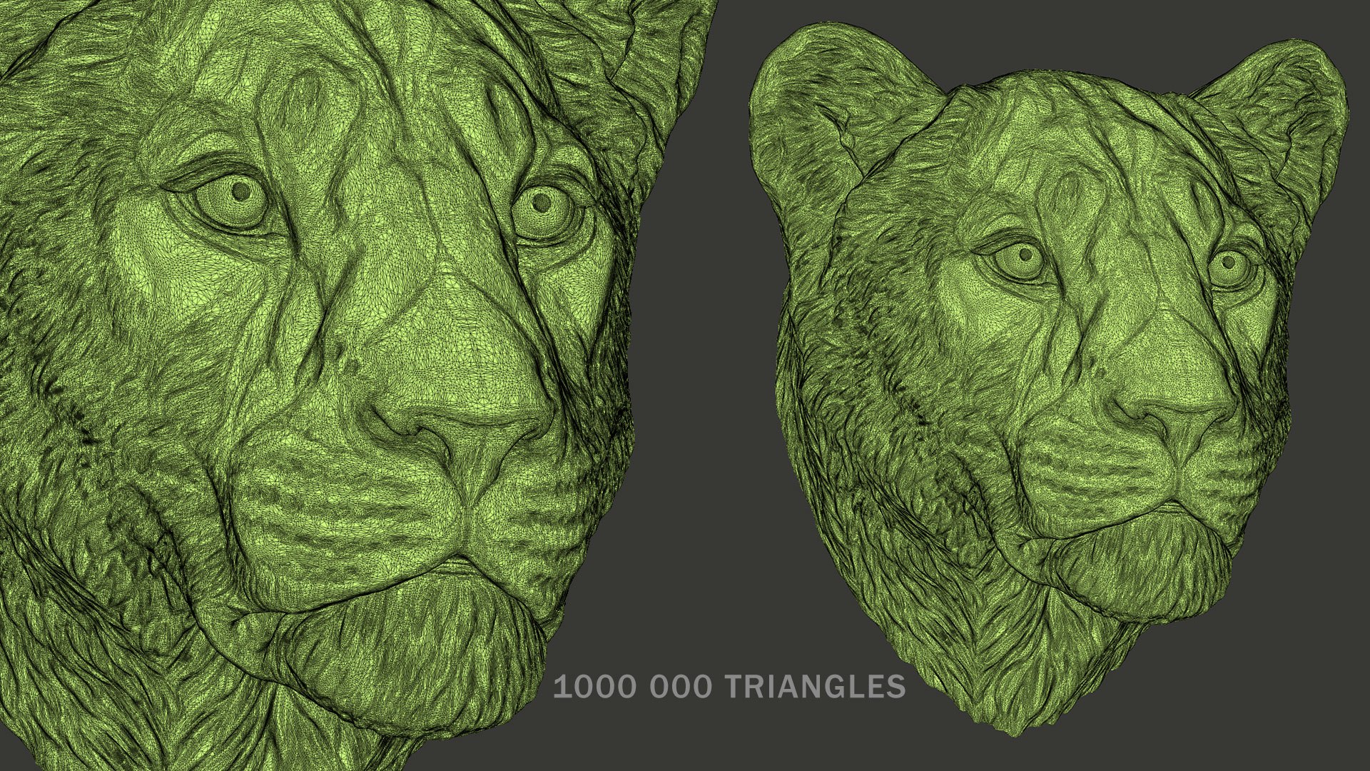 3D Lioness Sculpture Animal Head https://p.turbosquid.com/ts-thumb/Cj/DM75Xp/BN/lionessheadsculpture3dprintablevoronartwf01/jpg/1619106822/1920x1080/fit_q87/7200ba4017028353118b841cd3ade7d9d1511a2a/lionessheadsculpture3dprintablevoronartwf01.jpg