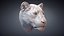 3D Lioness Sculpture Animal Head