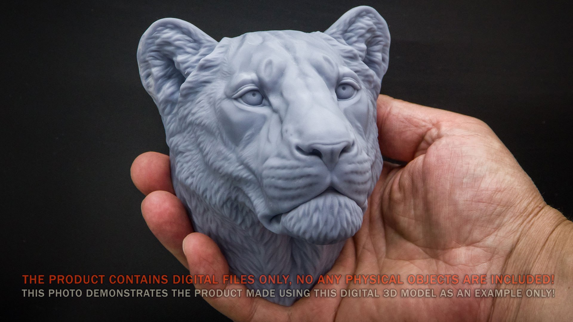 3D Lioness Sculpture Animal Head https://p.turbosquid.com/ts-thumb/Cj/DM75Xp/SM/lionessheadsculpture3dprintablevoronartp01/jpg/1626886267/1920x1080/fit_q87/445d777d005ba753adb6402810e0bb9b0daaf7ec/lionessheadsculpture3dprintablevoronartp01.jpg
