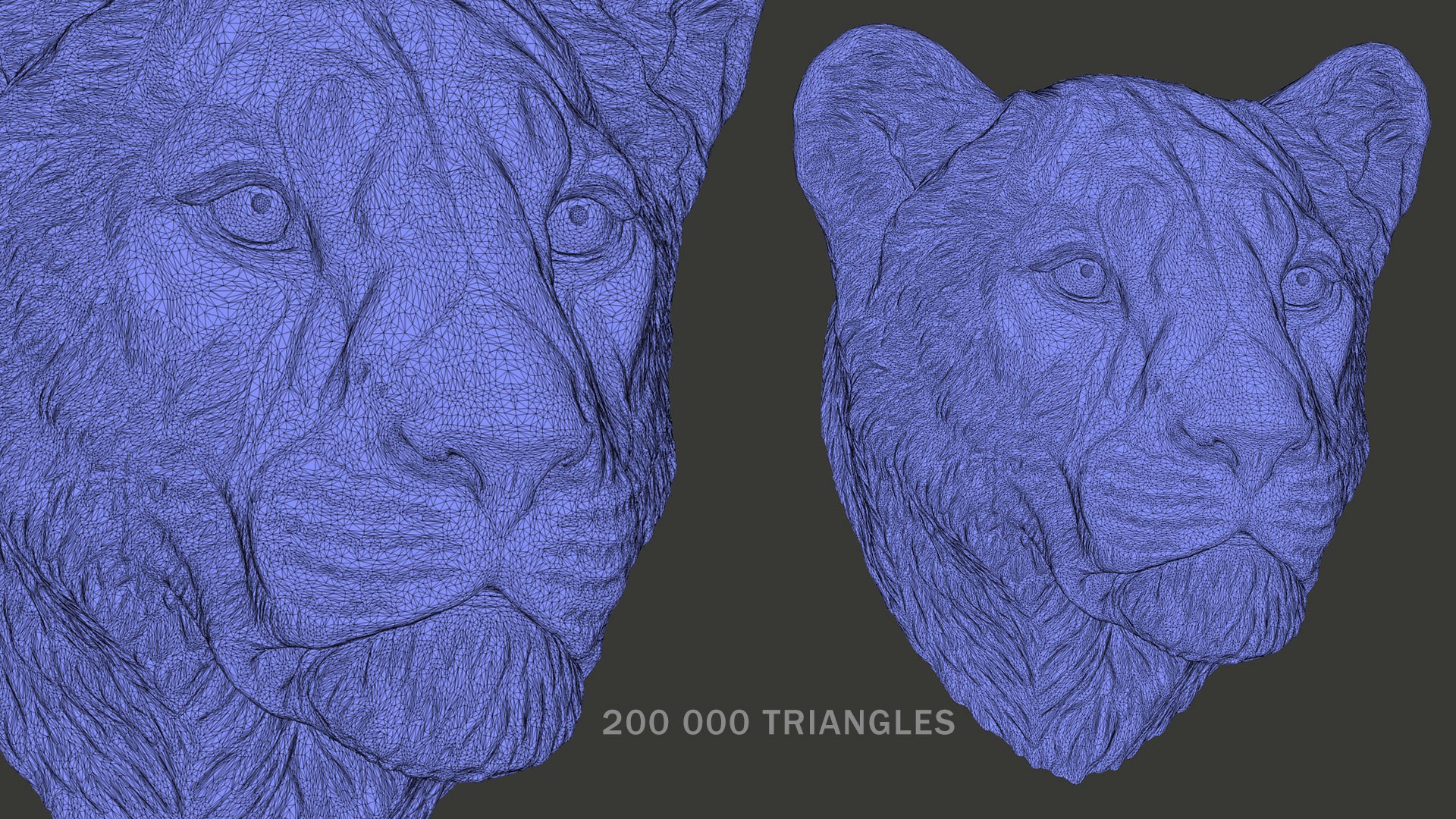 3D Lioness Sculpture Animal Head https://p.turbosquid.com/ts-thumb/Cj/DM75Xp/sV/lionessheadsculpture3dprintablevoronartwf03/jpg/1619106821/1920x1080/fit_q87/1f59b7da468cc6386a2678ffc985627cc3629a06/lionessheadsculpture3dprintablevoronartwf03.jpg