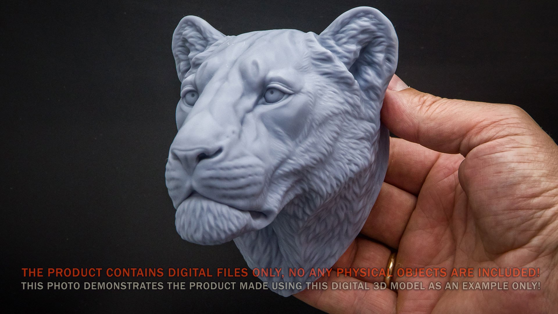 3D Lioness Sculpture Animal Head https://p.turbosquid.com/ts-thumb/Cj/DM75Xp/za/lionessheadsculpture3dprintablevoronartp03/jpg/1626886268/1920x1080/fit_q87/f3285bd4a32d5f431d4b1139d0542530b37cfe27/lionessheadsculpture3dprintablevoronartp03.jpg