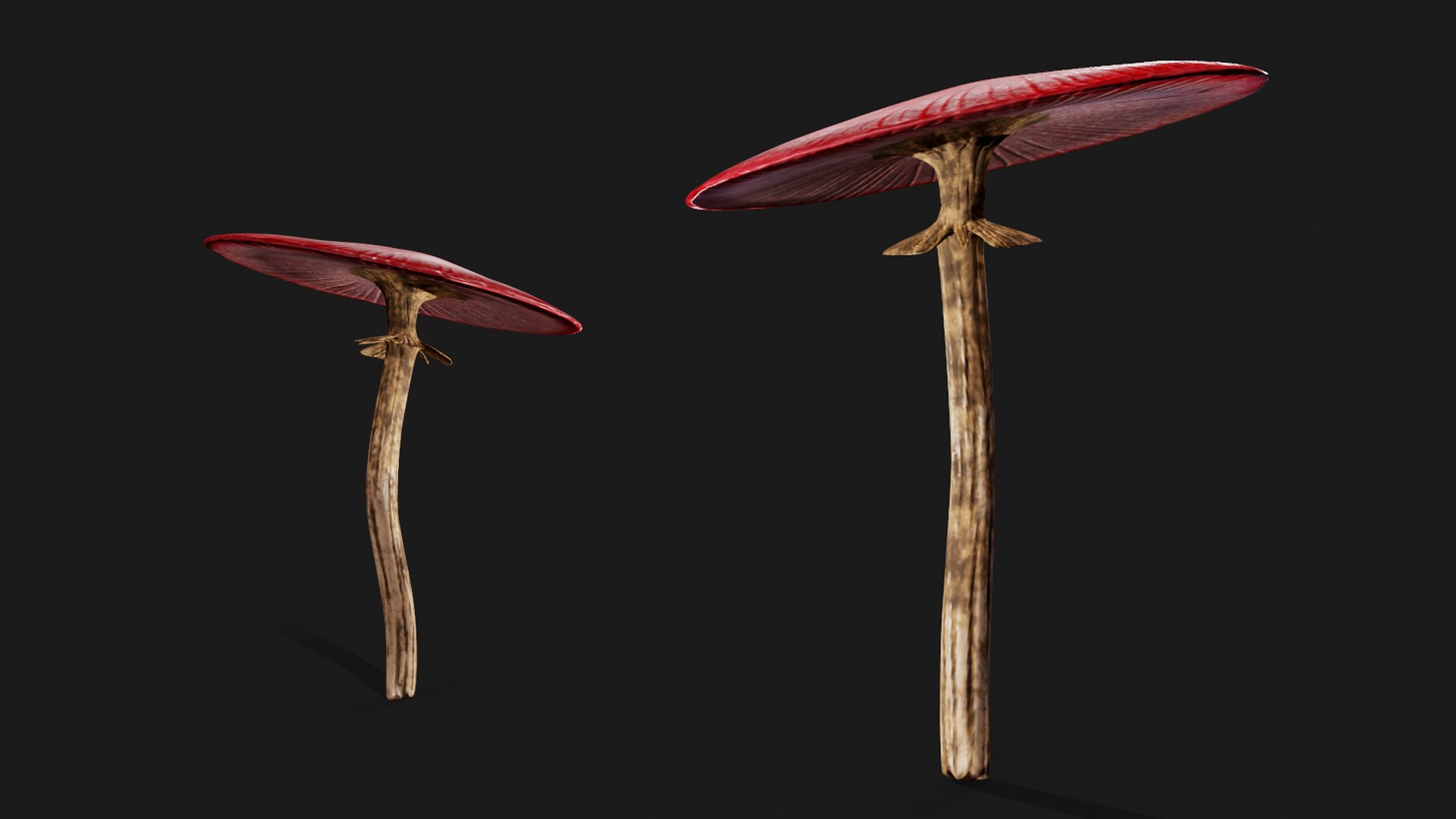 Red mushroom 3D model https://p.turbosquid.com/ts-thumb/Cj/Dw1E7W/AV/4/png/1667319189/1920x1080/fit_q87/926904526110148a32a8f01d800baa1e47382675/4.jpg