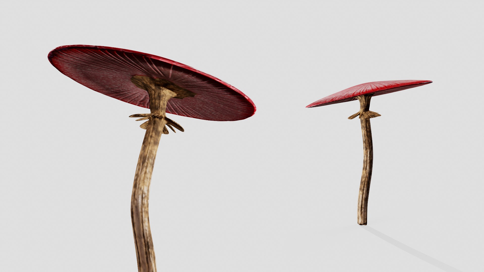 Red mushroom 3D model https://p.turbosquid.com/ts-thumb/Cj/Dw1E7W/Aq/2/png/1667319186/1920x1080/fit_q87/0bfa1e76d3673e8f0187df7c26246f7f5aa2bbc1/2.jpg