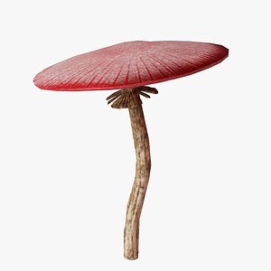 Red mushroom 3D model