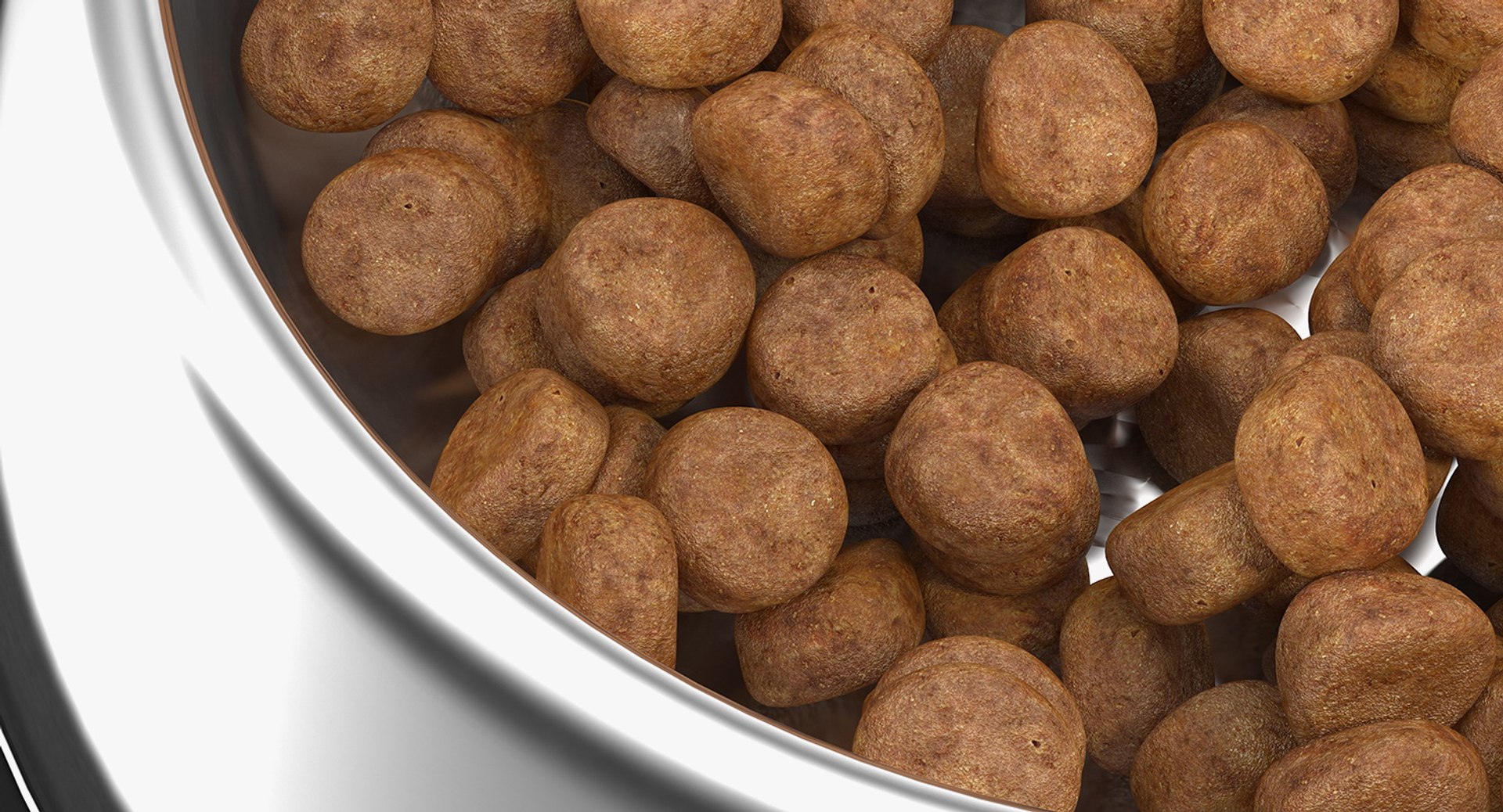3D dog bowl stainless steel model https://p.turbosquid.com/ts-thumb/Cj/WBEuzc/5HV3zBPo/dogbowlstainlesssteelfoodcontainerc4dmodel008/jpg/1563213322/1920x1080/fit_q87/f2c7d9350689a2aa6eca1510905994ef0acbef91/dogbowlstainlesssteelfoodcontainerc4dmodel008.jpg