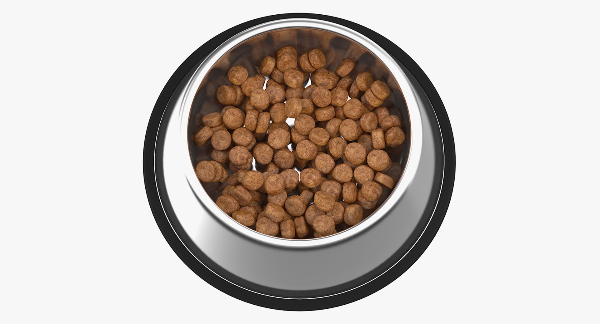 3D dog bowl stainless steel model https://p.turbosquid.com/ts-thumb/Cj/WBEuzc/QPvC0dbV/dogbowlstainlesssteelfoodcontainerc4dmodel003/jpg/1563213307/1920x1080/fit_q87/9cff0f887a7eed0e60163eaa20a35dd0a5348a0d/dogbowlstainlesssteelfoodcontainerc4dmodel003.jpg