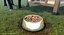 Dog Bowl Stainless Steel Food Container