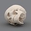 human skeleton 3d model