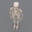 human skeleton 3d model