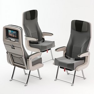 Economy Airplane Seats