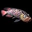 Arowana Cartoony Maya Rig