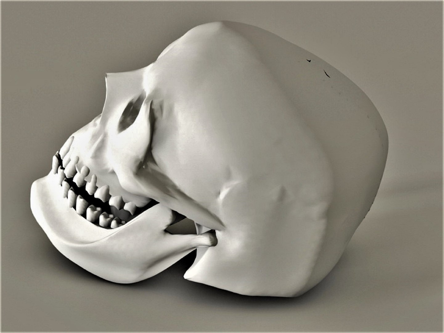 Skull 3D model https://p.turbosquid.com/ts-thumb/Cj/rkg2vl/QE/5/jpeg/1662819962/1920x1080/fit_q87/c86af9f2a4a7b9997ab60ee5d345caca20581134/5.jpg