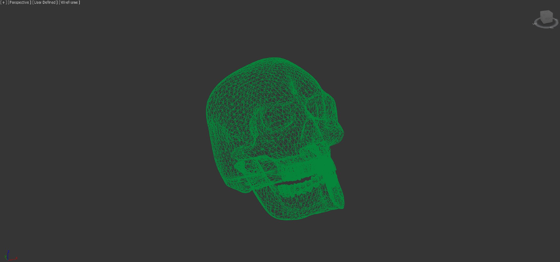 Skull 3D Model - TurboSquid 1956493