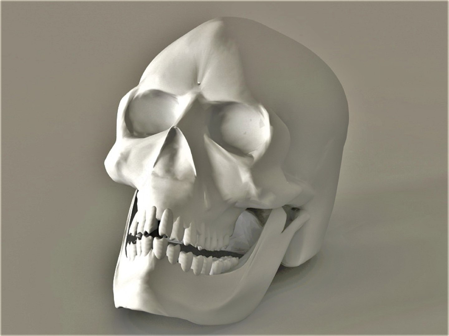 Skull 3D model https://p.turbosquid.com/ts-thumb/Cj/rkg2vl/nn/472/jpeg/1662820373/1920x1080/fit_q87/55cc30ddfa0074ed0edd06f627407ddfac9d0b7a/472.jpg