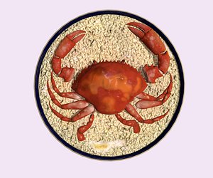 3D asia food crab rice