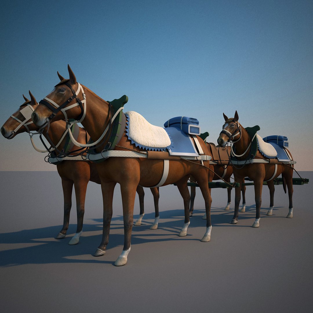 Harnessed Horse 4 3d Obj